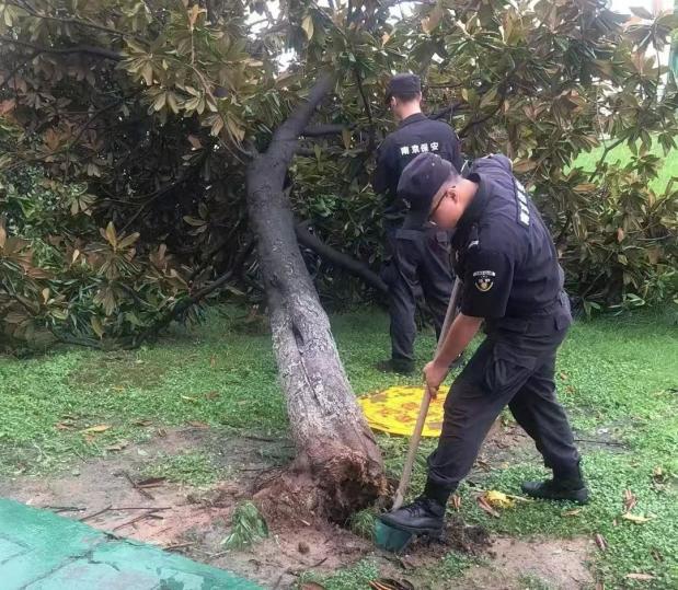 C:/Users/BA/Desktop/風(fēng)雨過(guò)后南京保安迅速行動(dòng)，恢復(fù)安“寧”面貌/10.jpg10