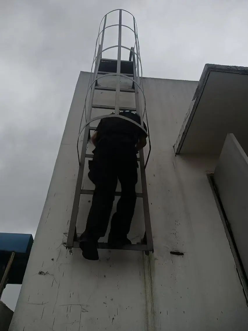 C:/Users/BA/Desktop/風(fēng)雨過(guò)后南京保安迅速行動(dòng)，恢復(fù)安“寧”面貌/3.jpg3